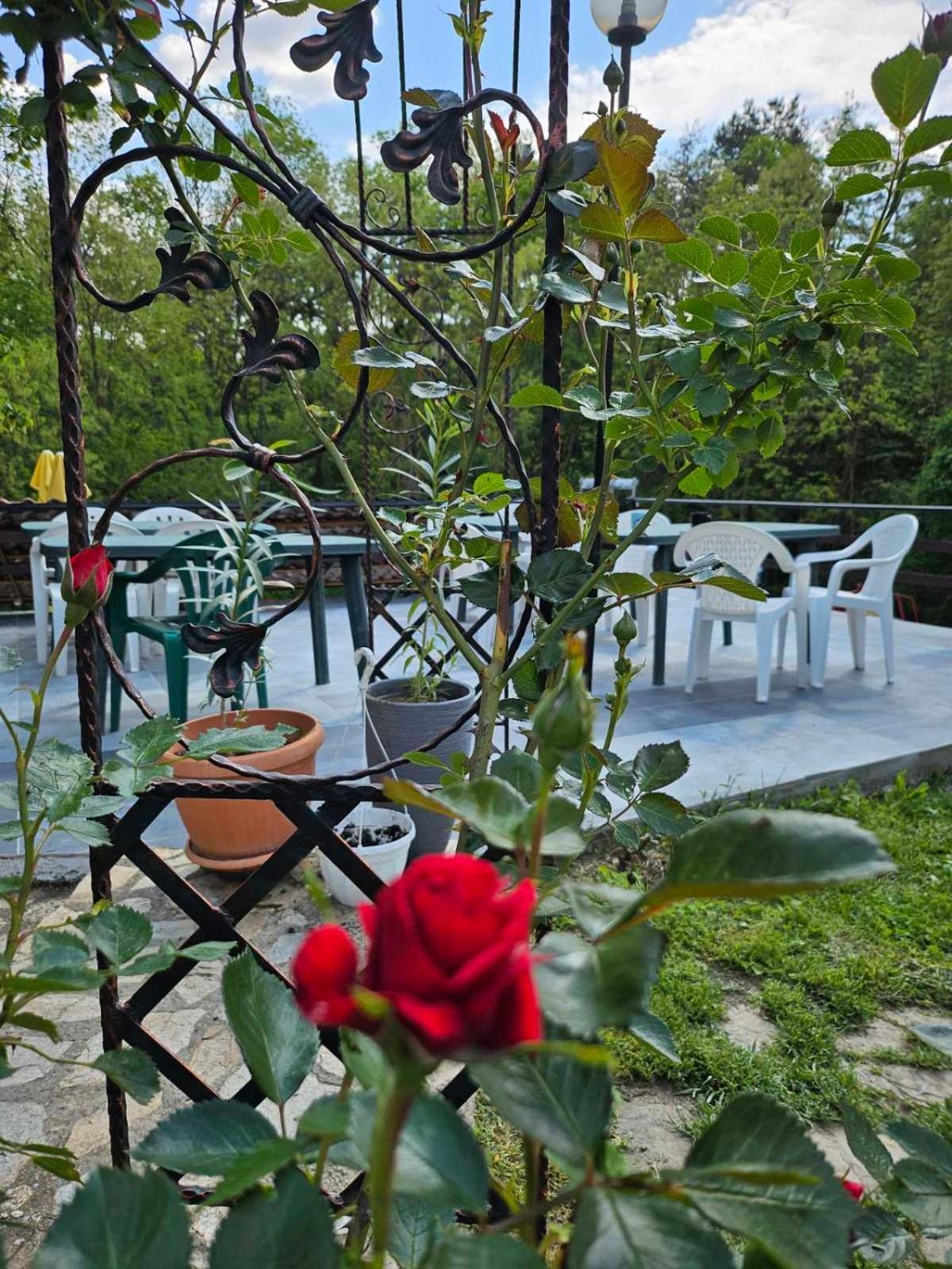 Orehite-Family Hotel ,Food & Pool Bozhichen Exteriér fotografie